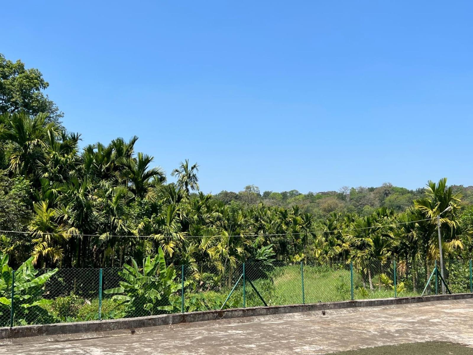 Emerald Castle Villa Madikeri Eksteriør bilde